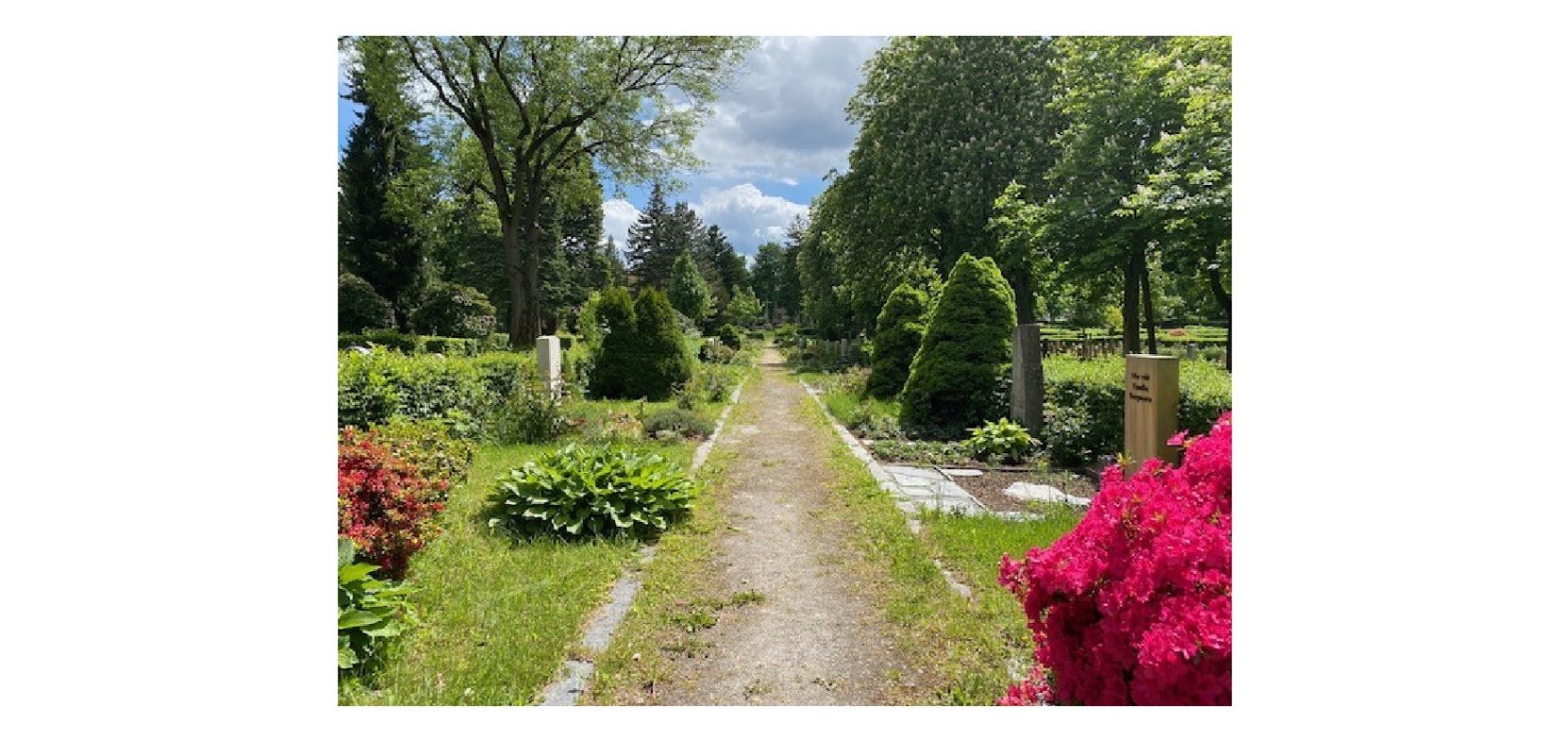 Friedhof